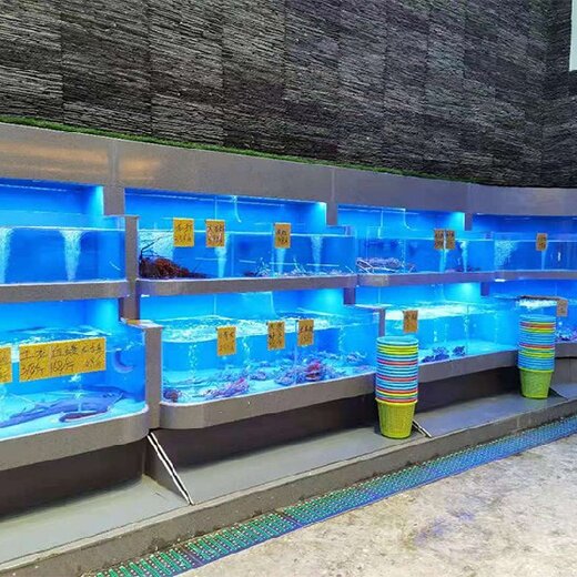 广州海鲜池制作图片